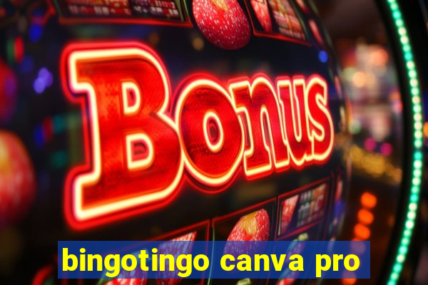 bingotingo canva pro